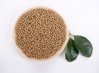 凈水器用殺菌濾料起到什么作用？